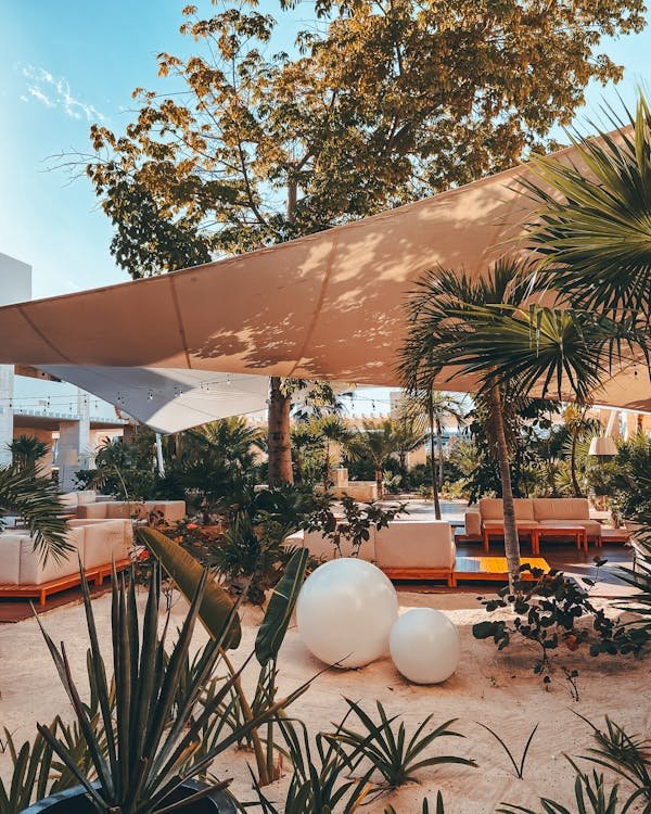 Voile d'ombrage en fibre de coco : éléguance naturelle pour tous